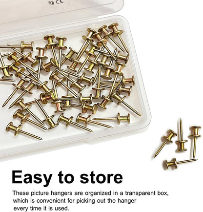 50-Piece Double-Headed Picture Hanging Push Pins